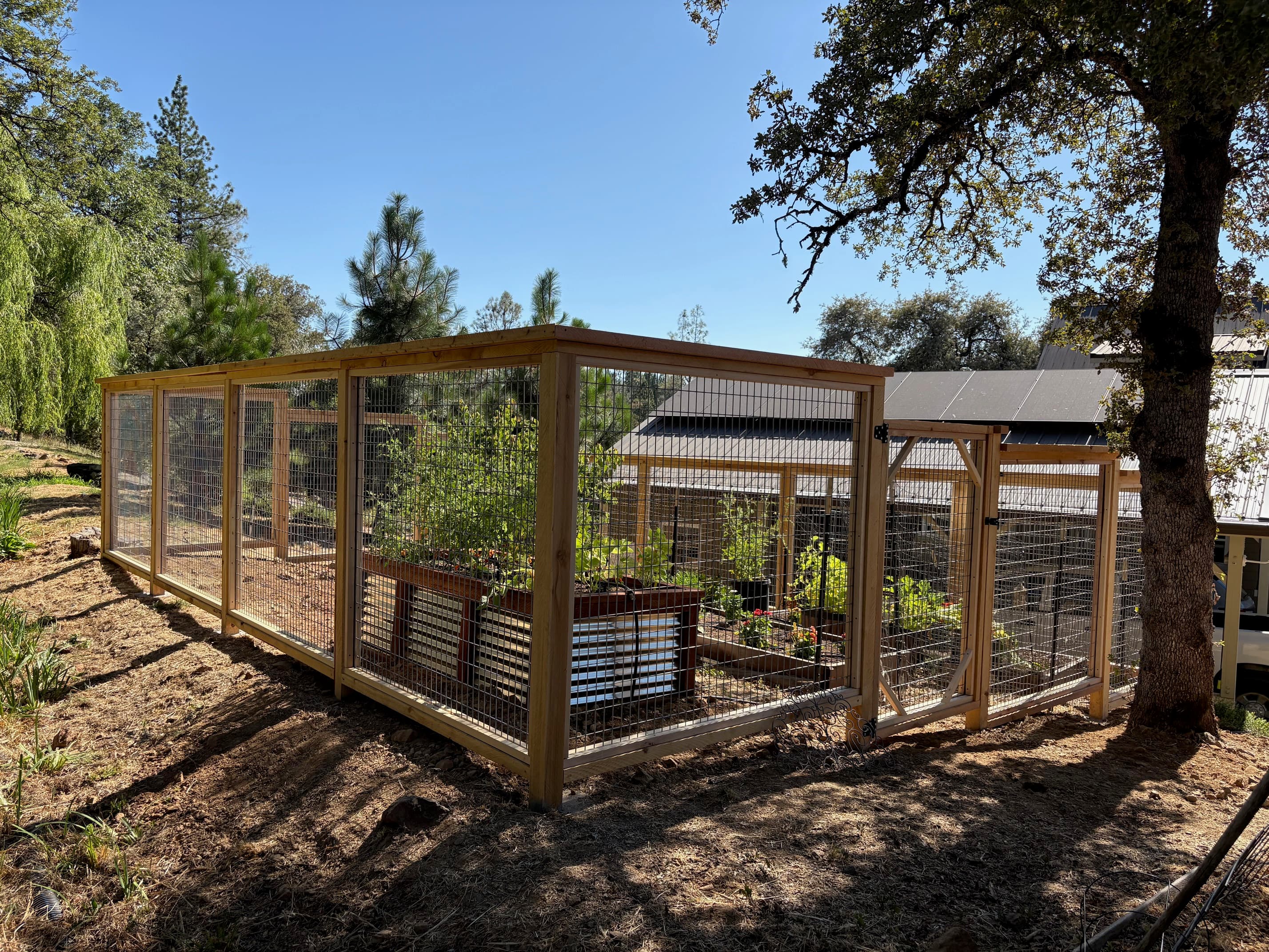 Custom enclosed garden fence with wire panels, Nevada County