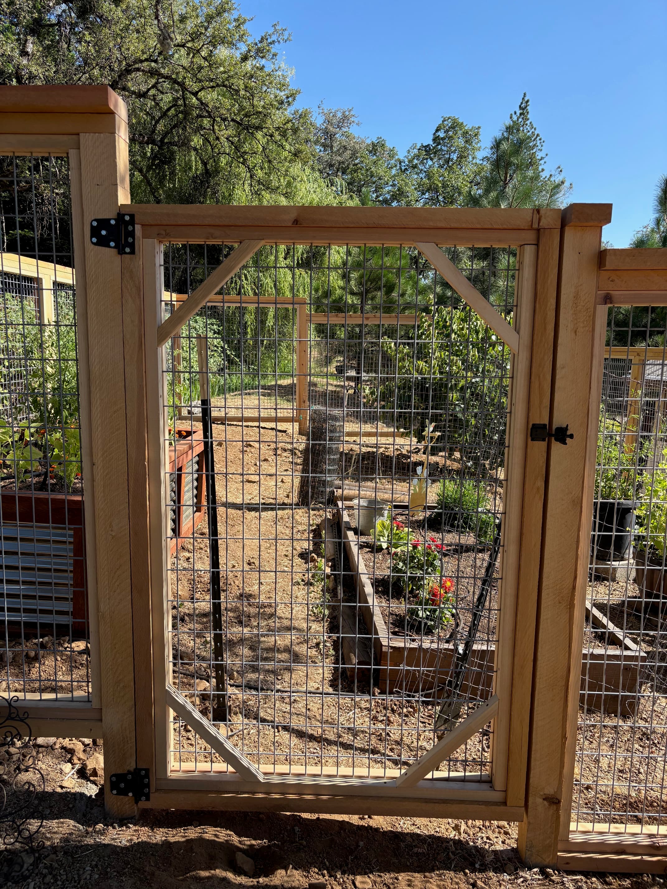 Gate detail on custom garden enclosure