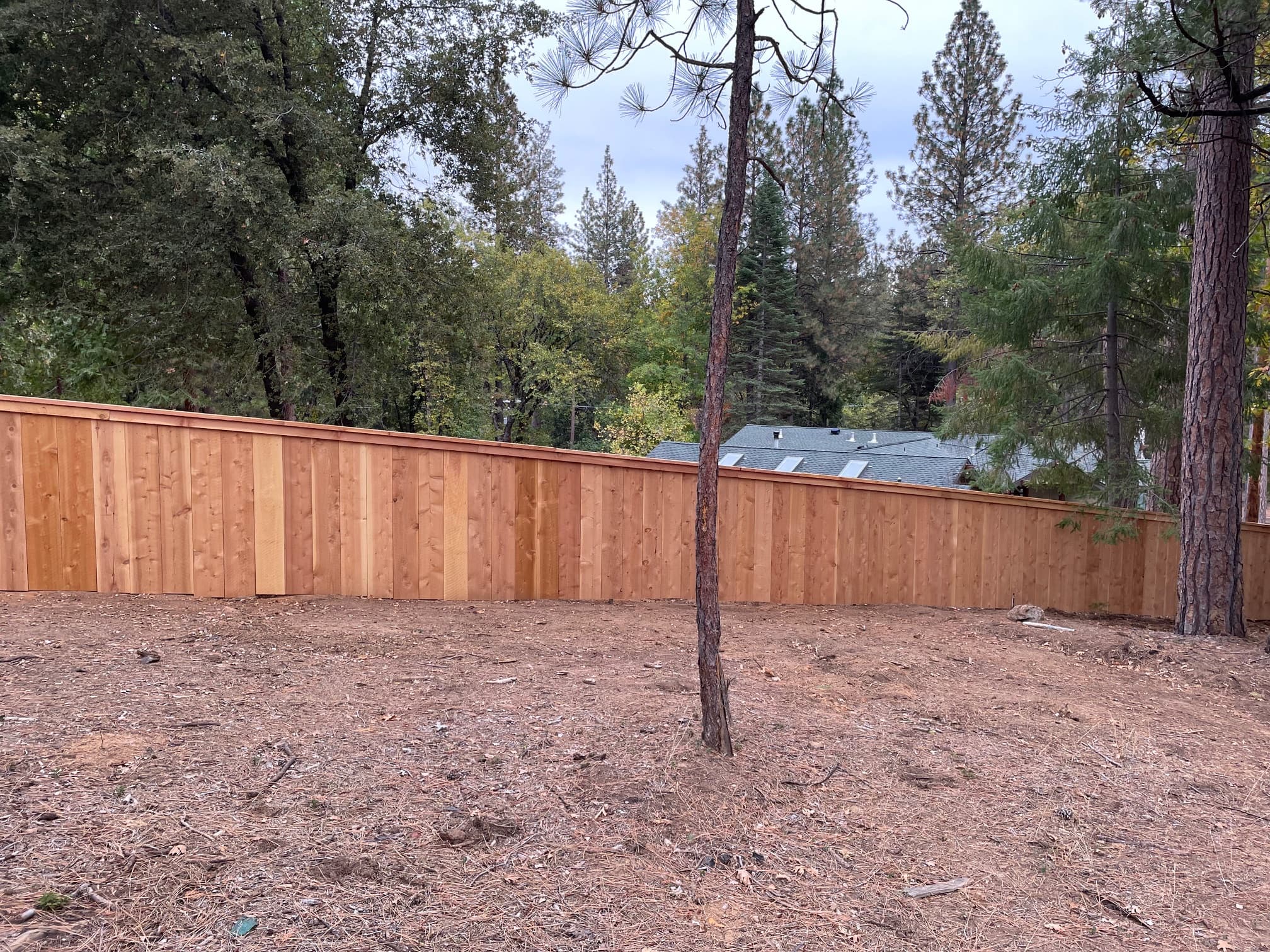 Cedar vertical board privacy fence on wooded residential lot