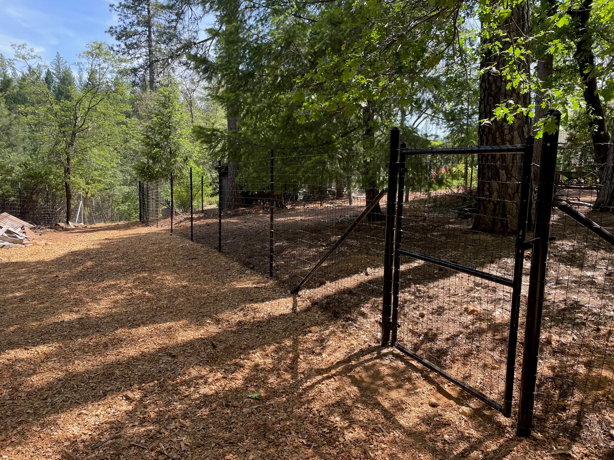 Black steel post and welded wire fence with custom gates